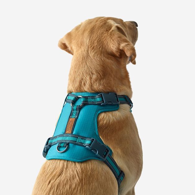 Outdoor terracotta dog harness 500, m Azul G