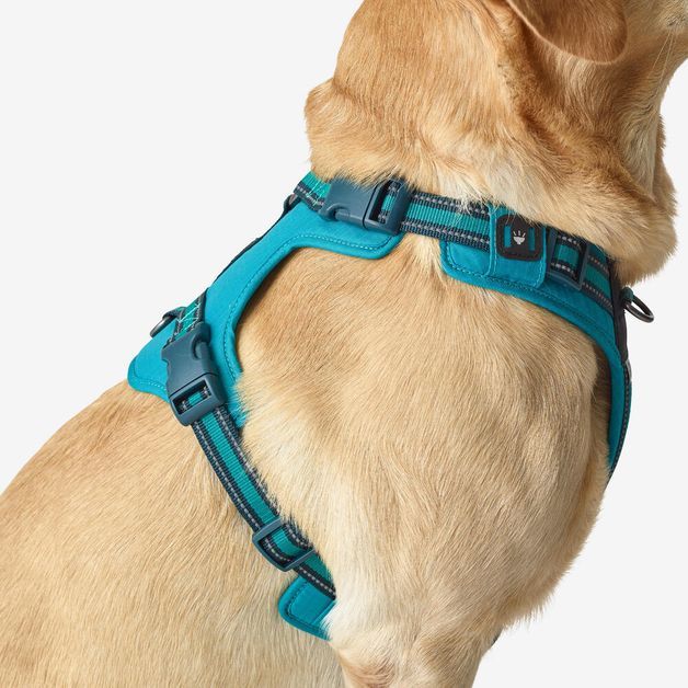 Outdoor terracotta dog harness 500, m Azul G