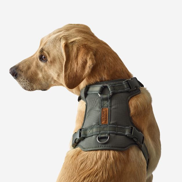 Outdoor terracotta dog harness 500, m Verde G
