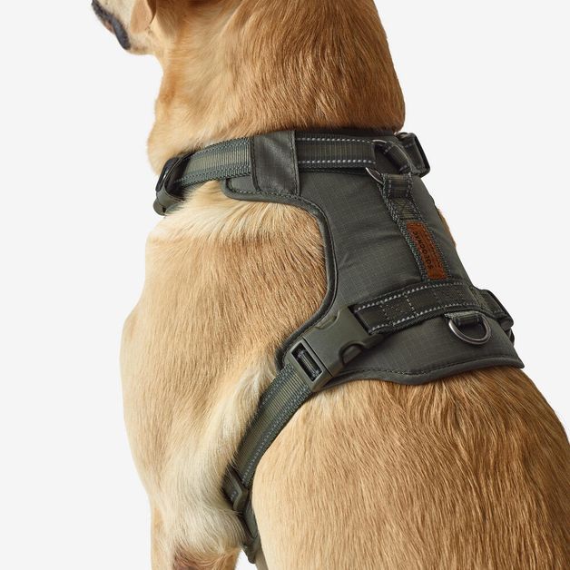 Outdoor terracotta dog harness 500, m Verde G