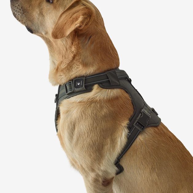 Outdoor terracotta dog harness 500, m Verde G