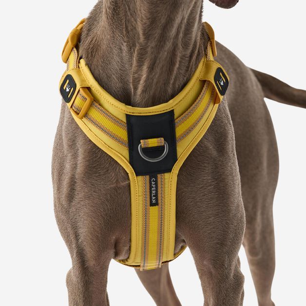 Outdoor terracotta dog harness 500, m Amarela G