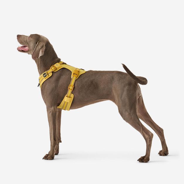 Outdoor terracotta dog harness 500, m Amarela G