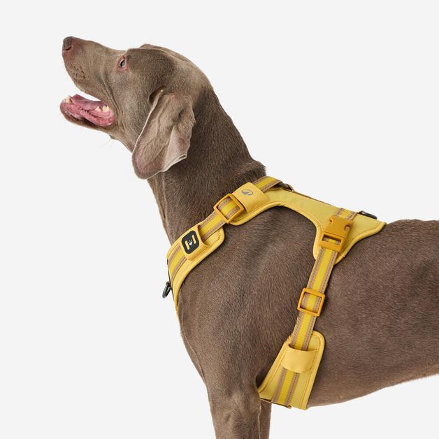 Outdoor terracotta dog harness 500, m Amarela G