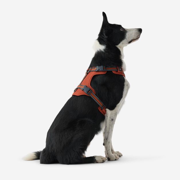Outdoor terracotta dog harness 500, m Terracotta M