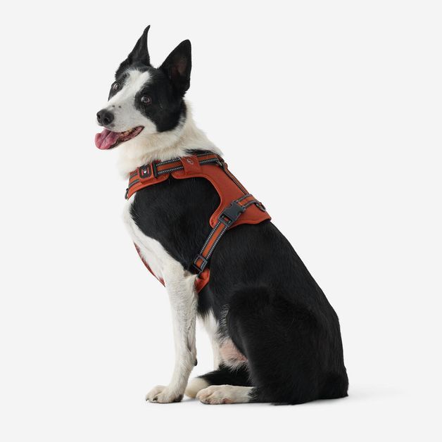 Outdoor terracotta dog harness 500, m Terracotta M