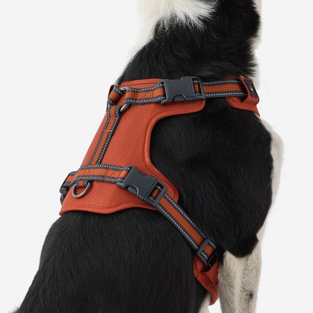 Outdoor terracotta dog harness 500, m Terracotta M