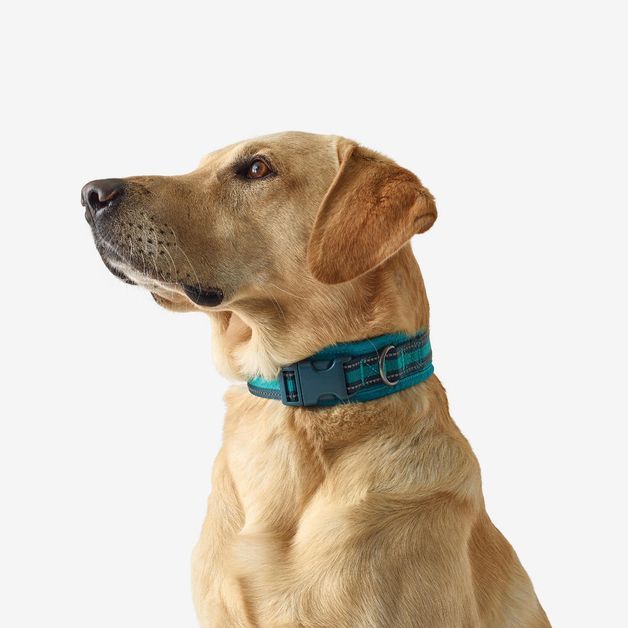 Dog collar outdoor 500 terracotta, l Azul P