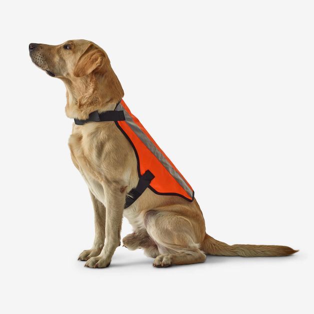 Jacket fluo orange, l Laranja G