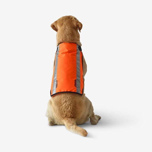 Jacket fluo orange, l Laranja G