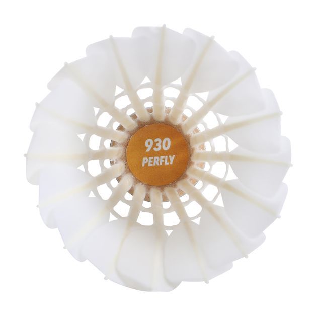 codigo-modelo-8490816