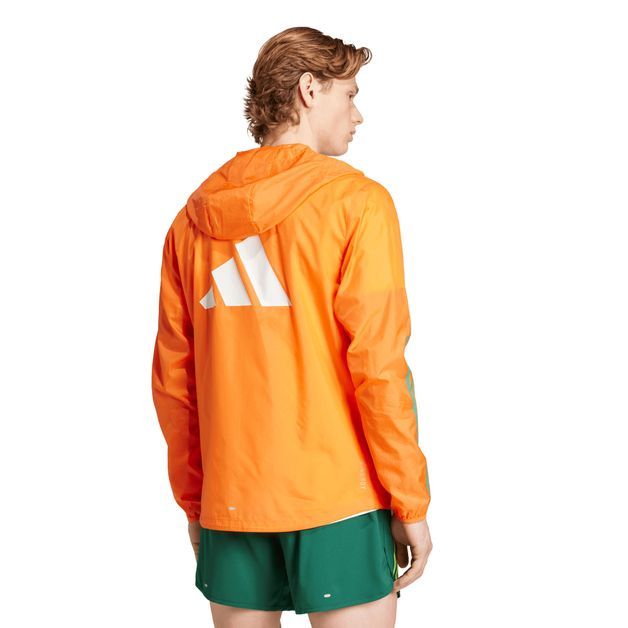 codigo-modelo-8987613