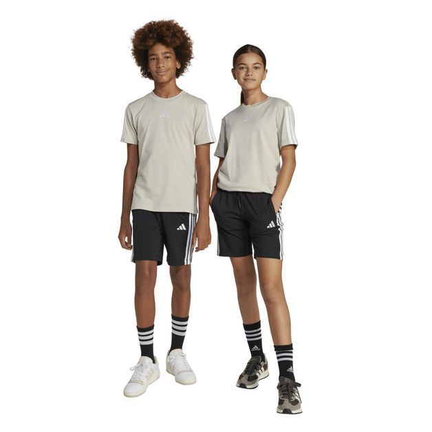 codigo-modelo-8683527