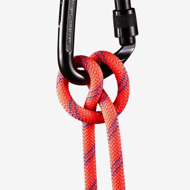 codigo-modelo-8561368