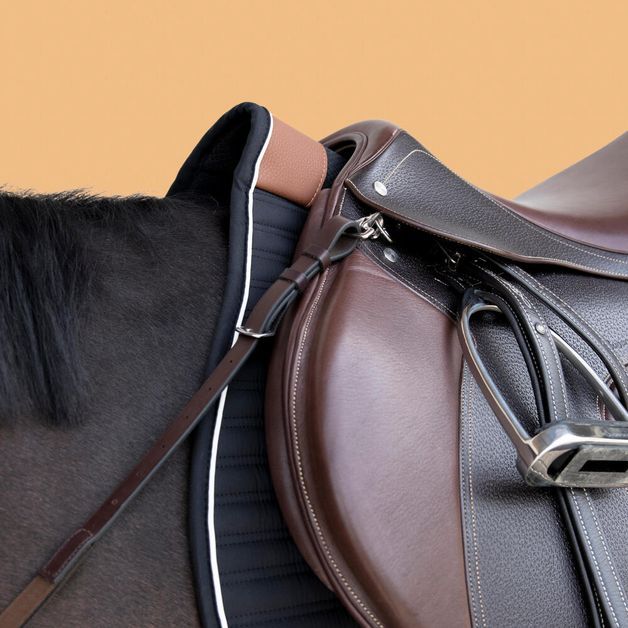 Brs-pl-jumping-h-horse-breastplate-b-fs-CS