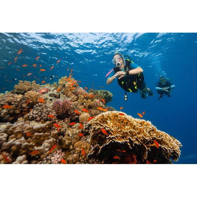 snorkel-scd-100-blue-no-size2