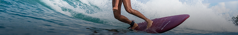 Surf & Bodyboard