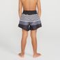*berm surf 100 inf folhas vd pv, 10years Cinza 7-8 ANOS