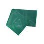 *faixa circular thera band 30cm, no size Verde