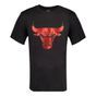 *t-shirt preta chicago bulls masc pv, xl P