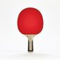 Ppr 500 resistant, straight Vermelha DIREITO