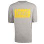 *camiseta cz/amar everlast oi25, xl Cinza M