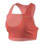 codigo-modelo-8929065